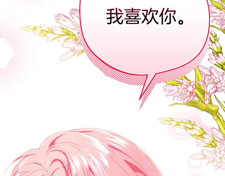 第255页
