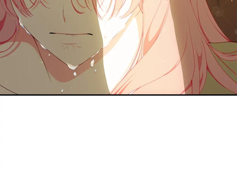 第243页