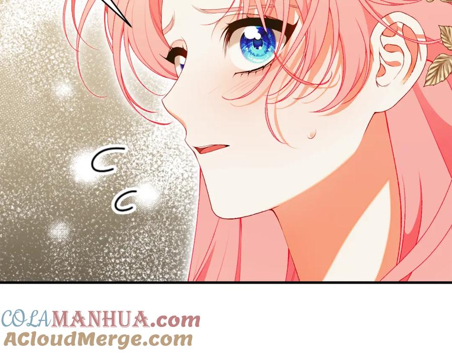 第205页