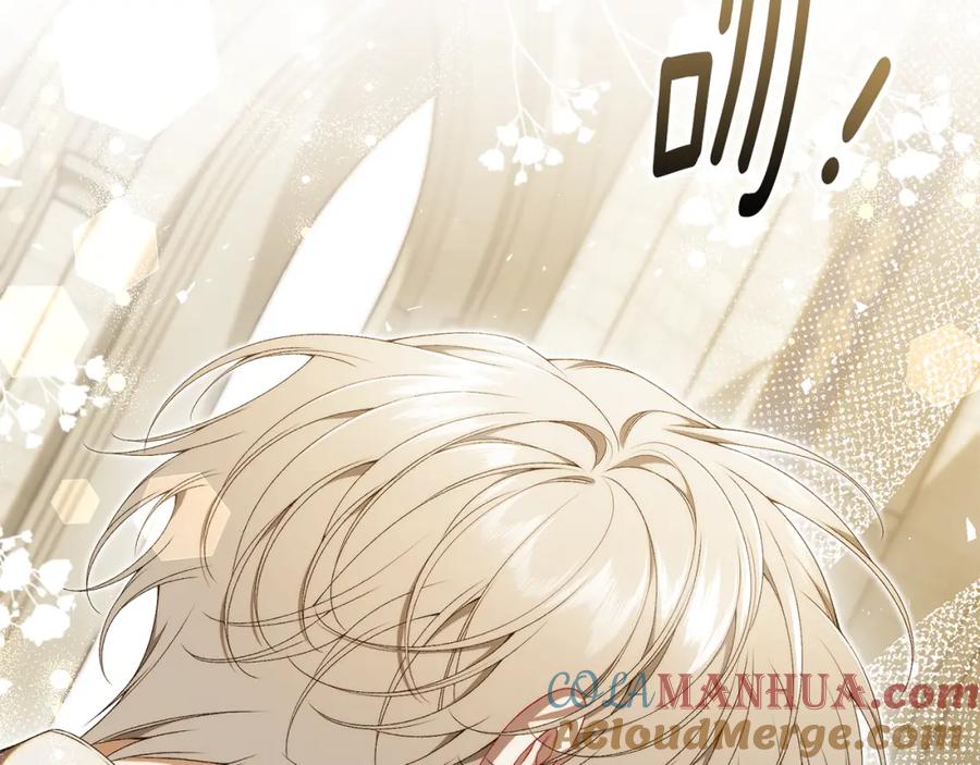 第213页