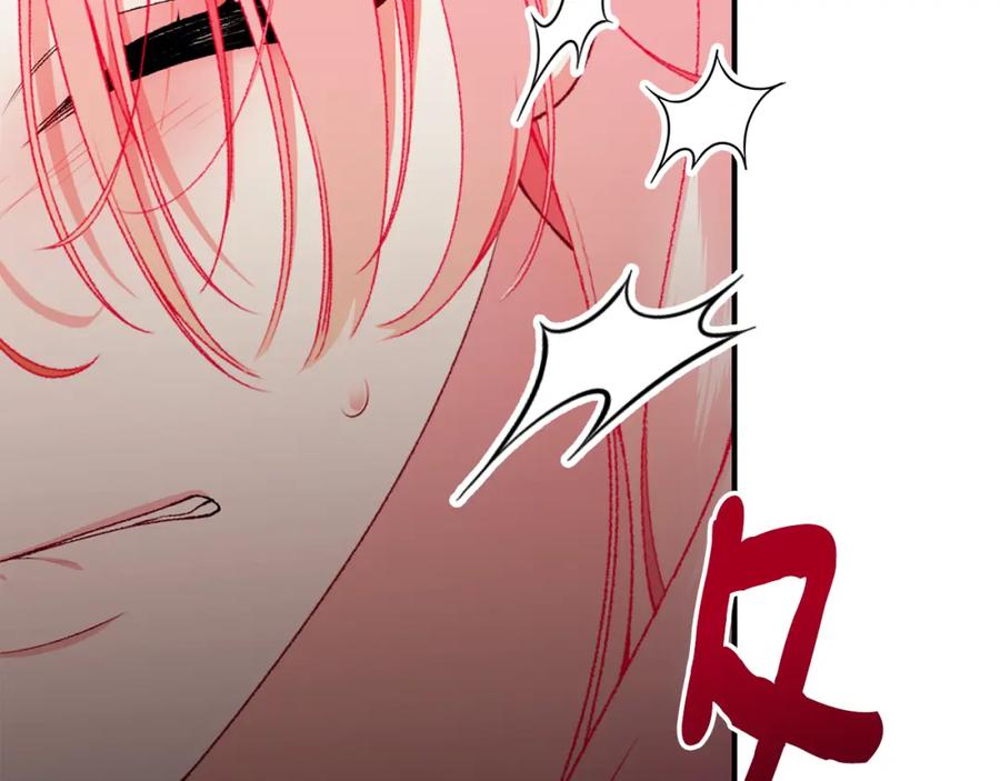 第239页