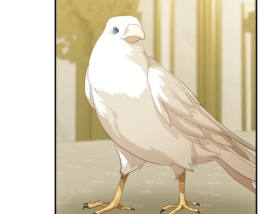 第244页