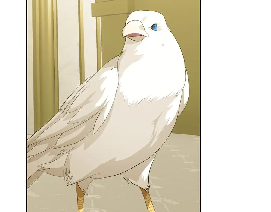 第263页