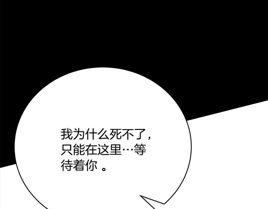 第242页
