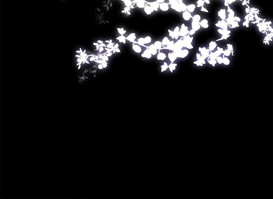 第260页