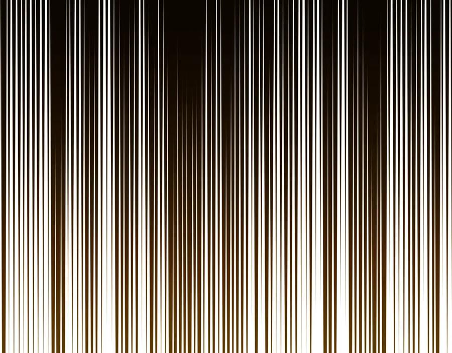 第262页