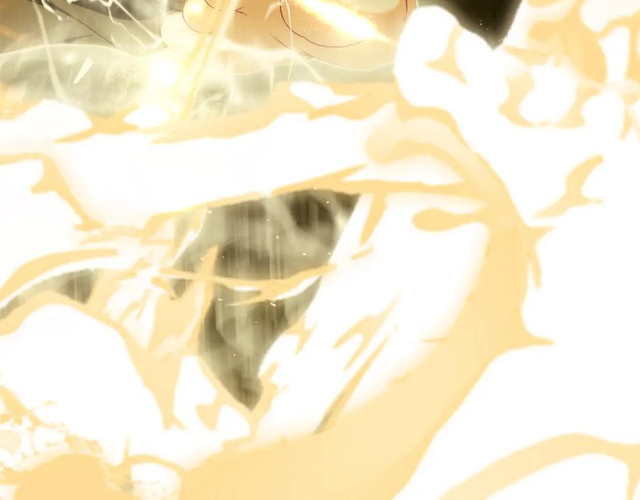 第242页