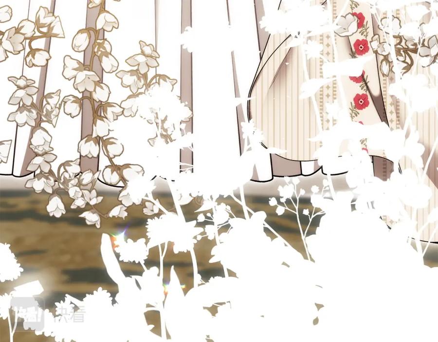 第243页