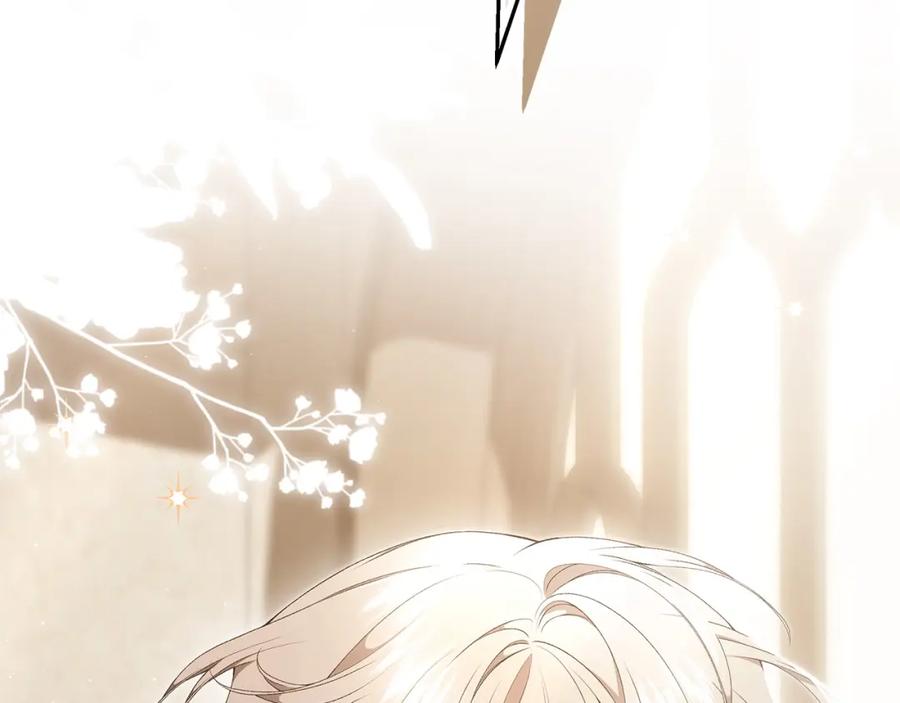 第256页