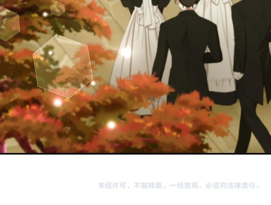 第278页