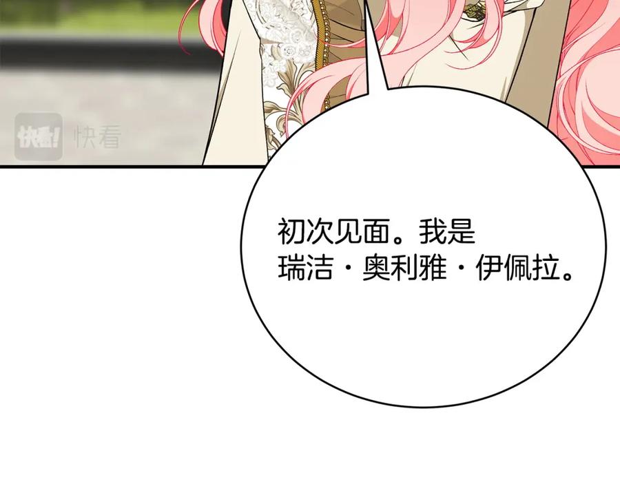 第204页