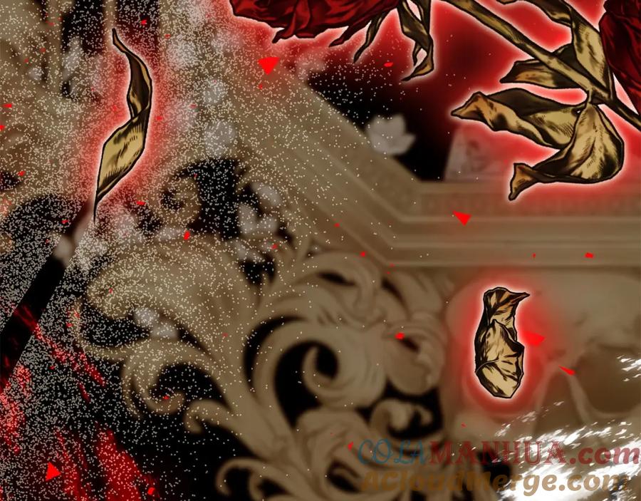 第241页