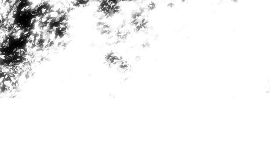 第243页