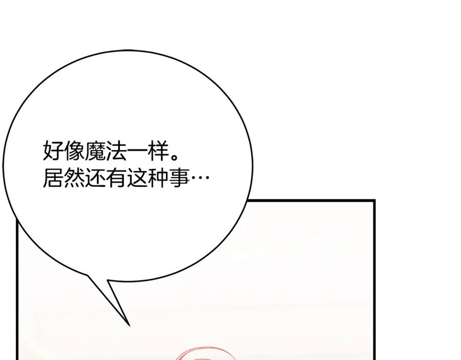第244页