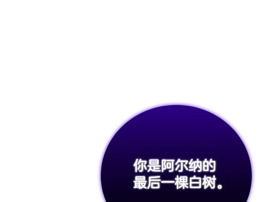 第244页