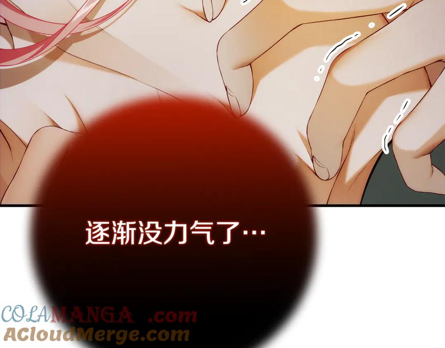 第241页
