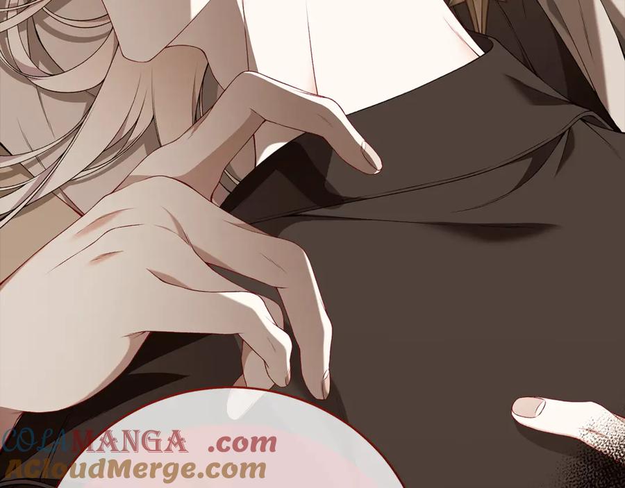 第261页