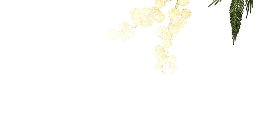 第215页