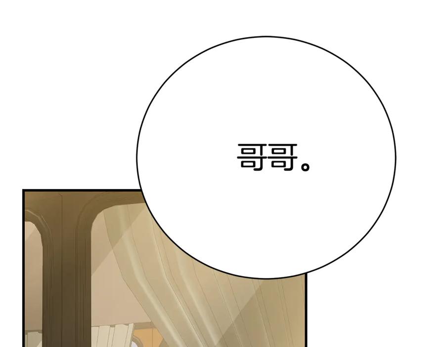 第239页