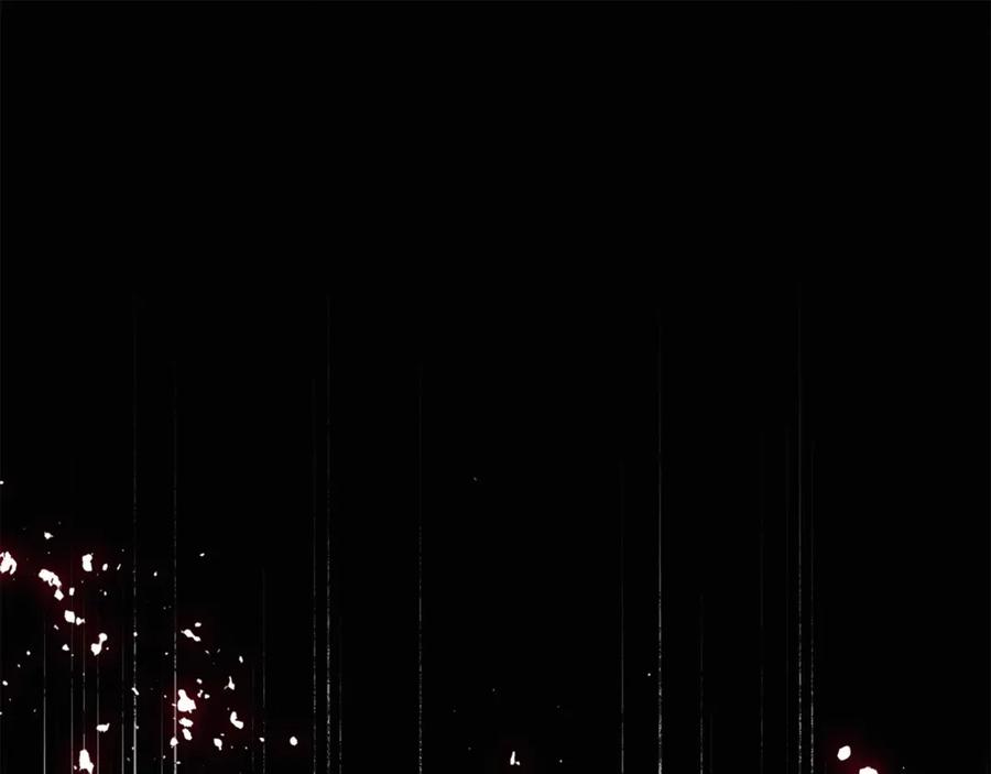 第243页