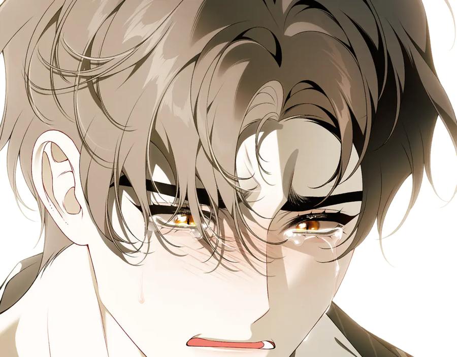 第247页