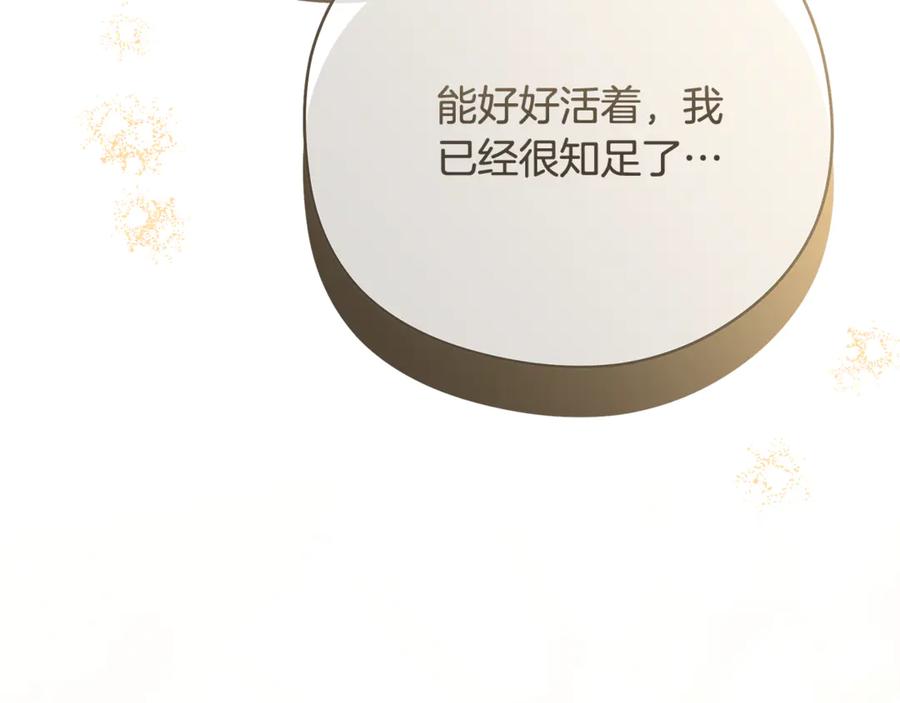 第259页