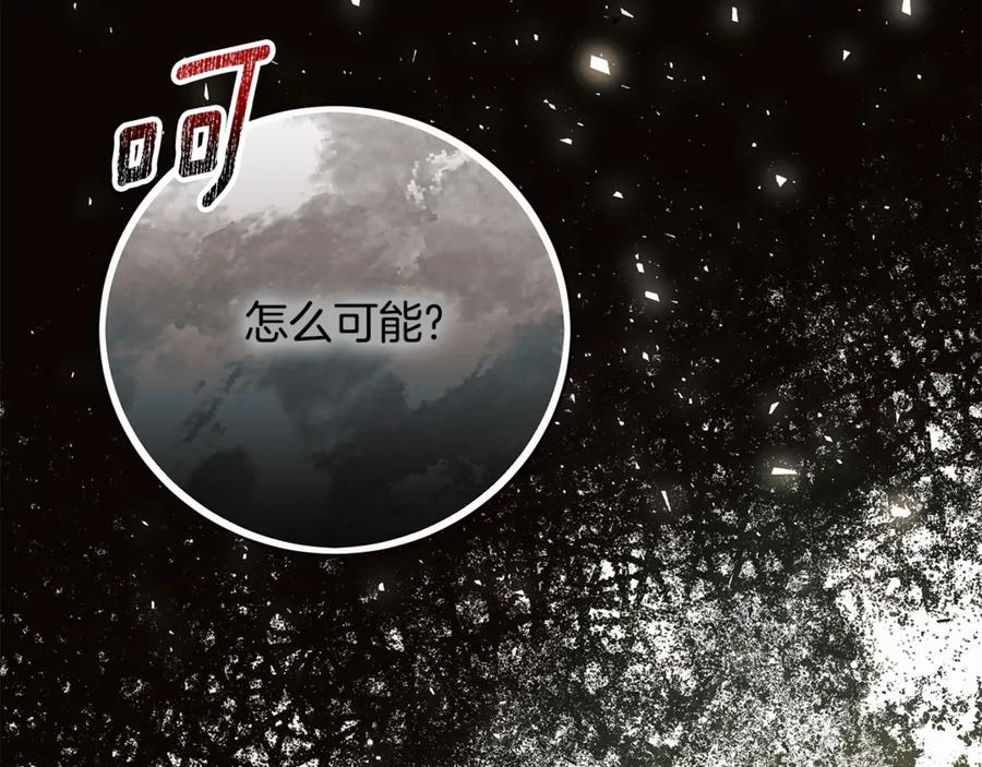 第242页