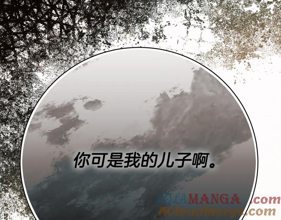 第243页