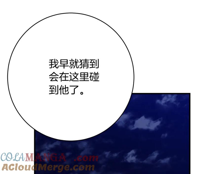第221页