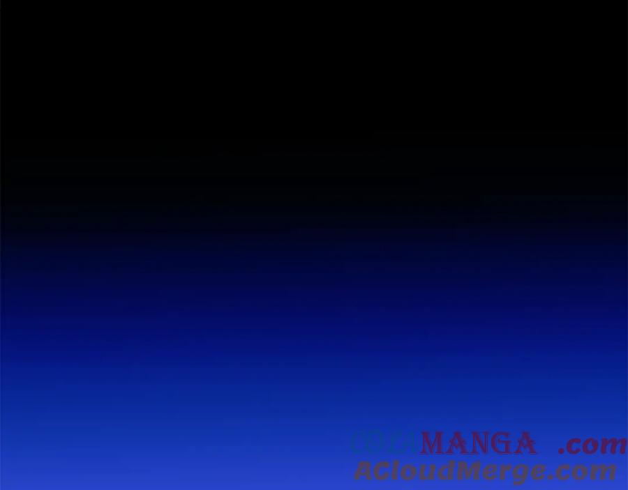 第217页