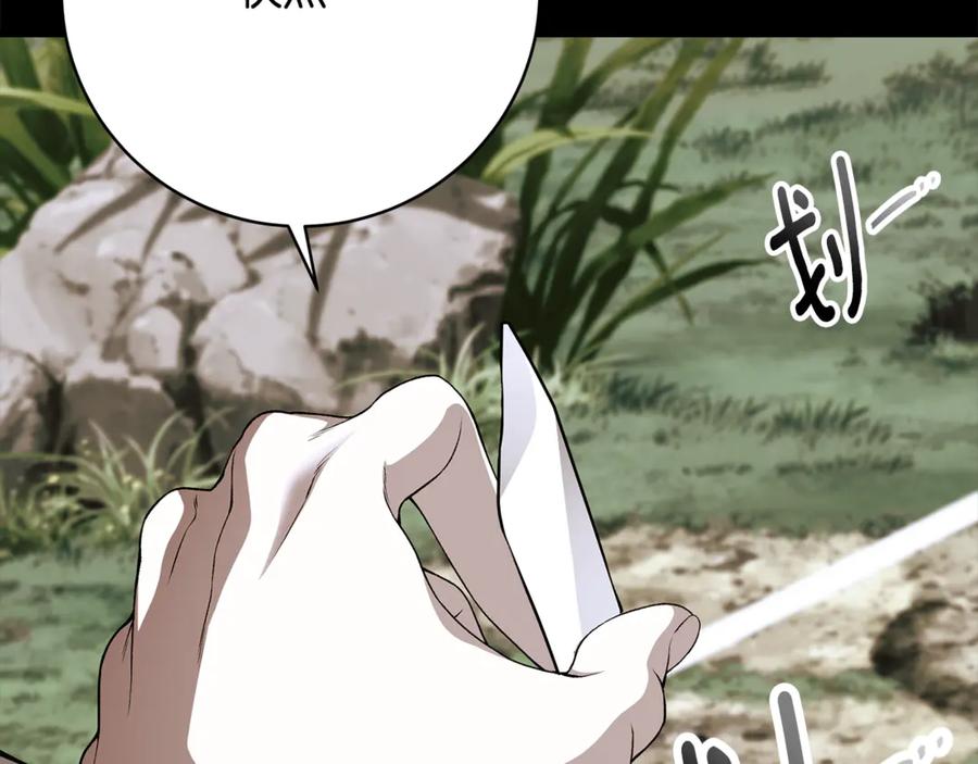 第334页