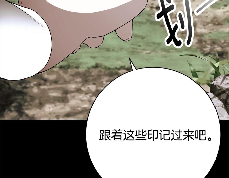 第335页