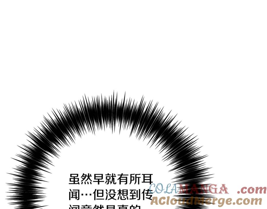 第241页