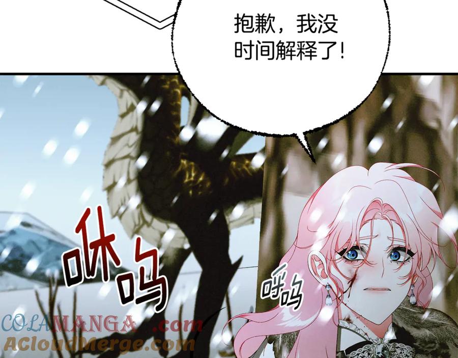 第221页