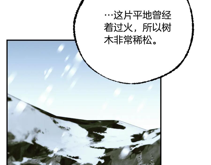 第234页