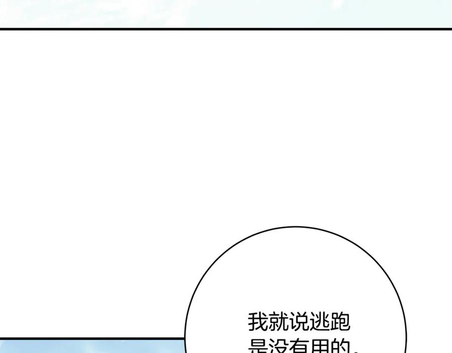 第262页