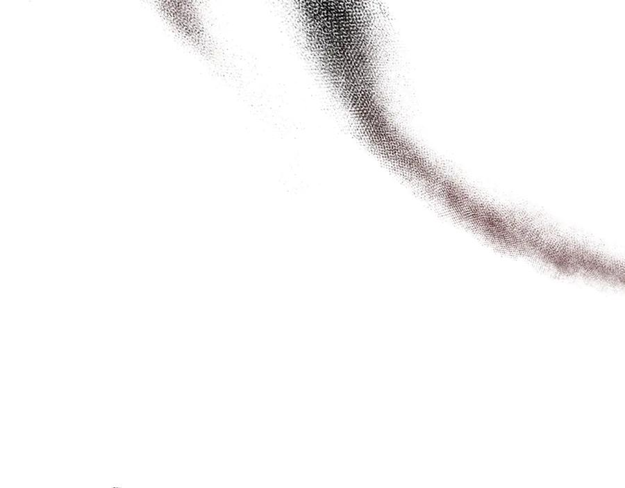 第300页