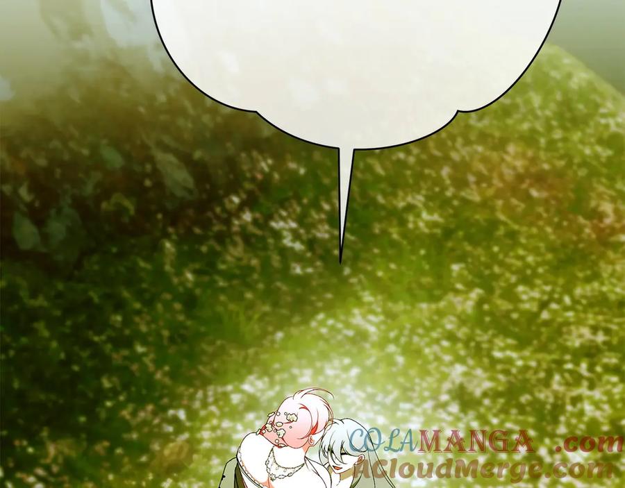 第221页