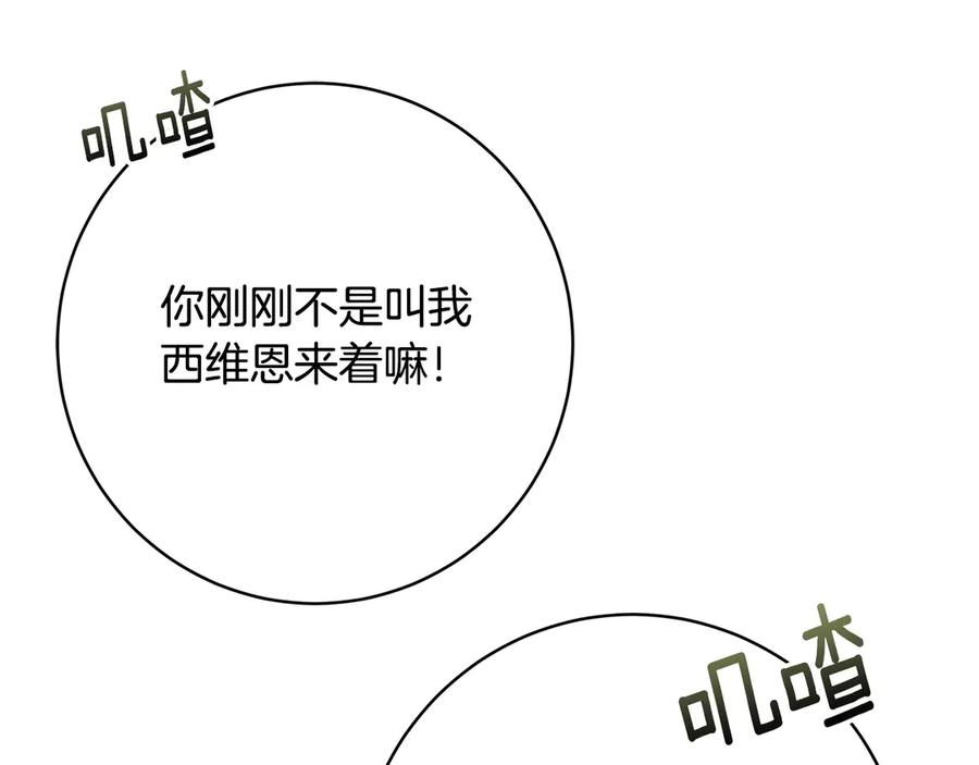 第224页
