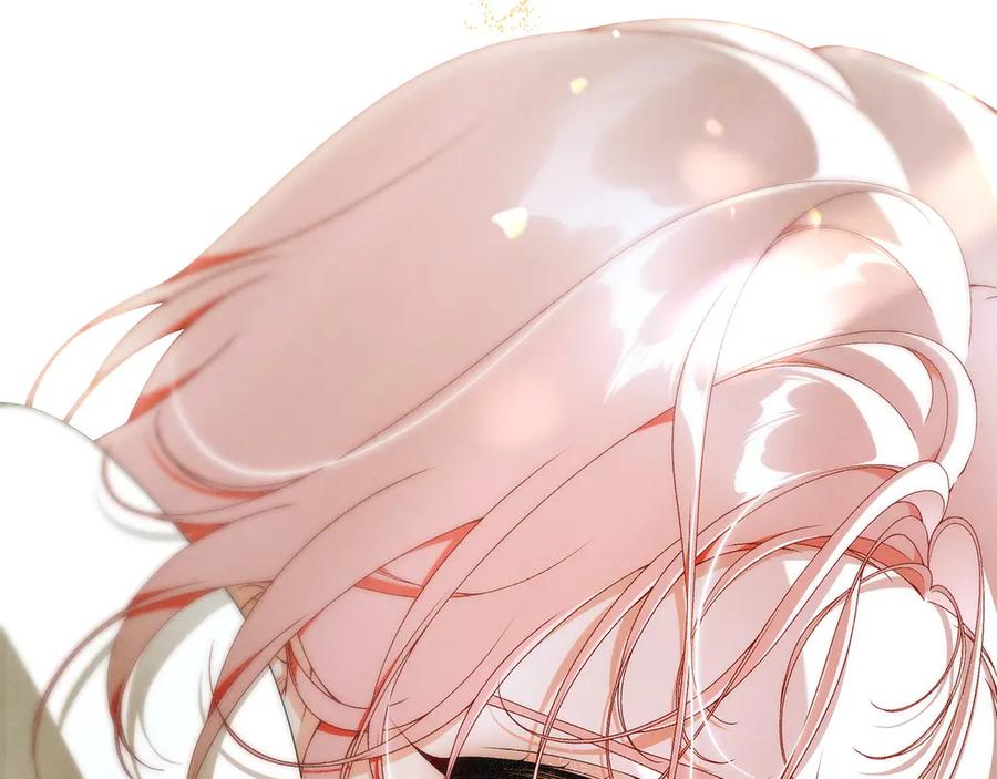第239页