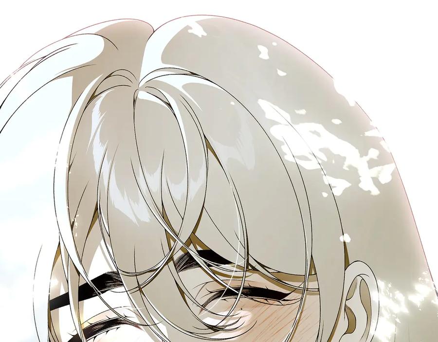 第247页