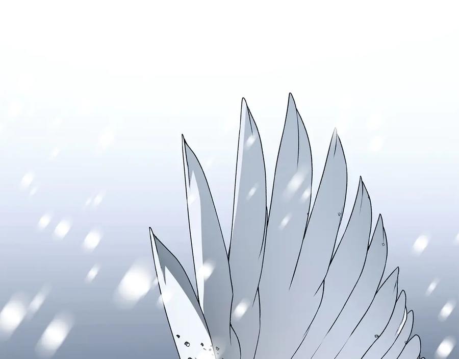 第266页