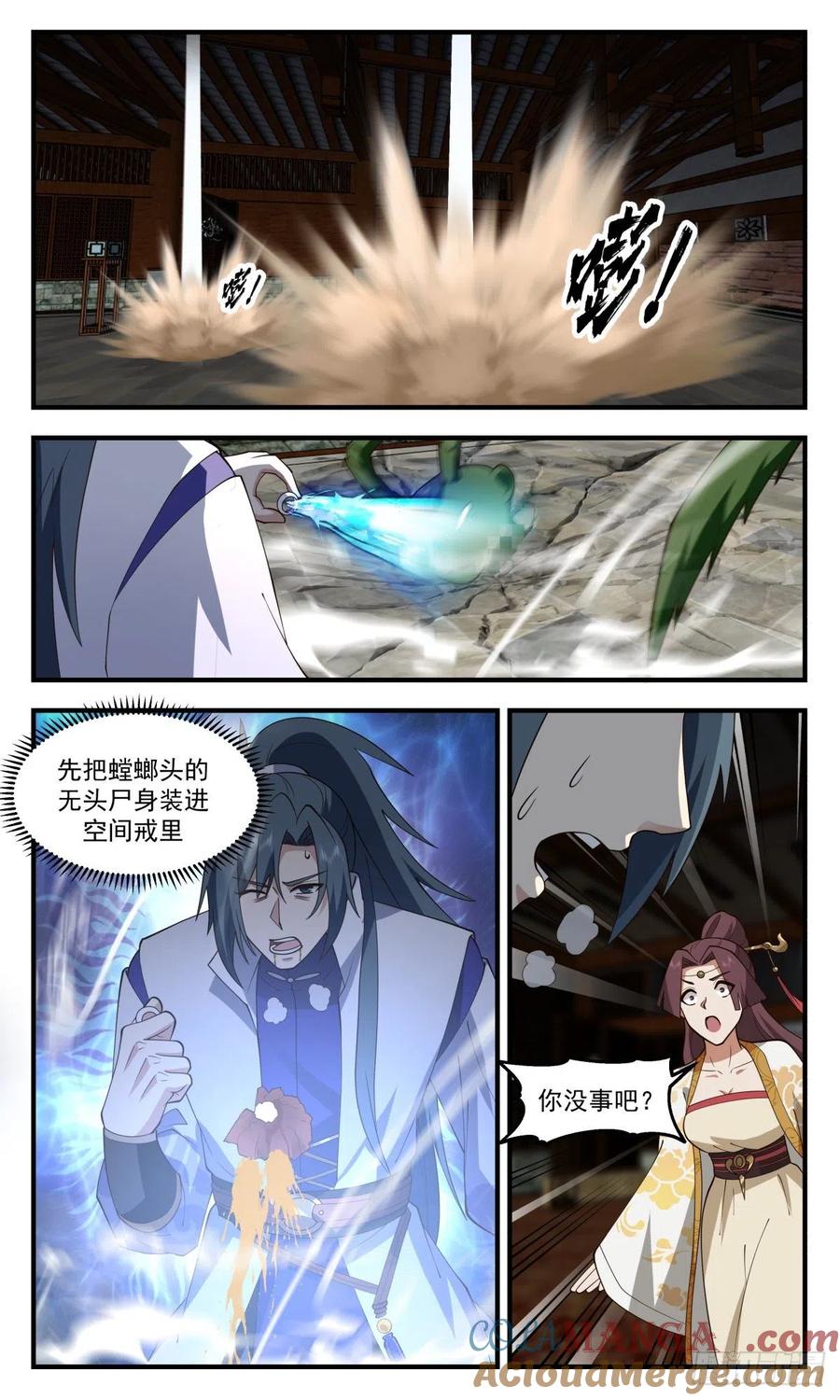 第11页