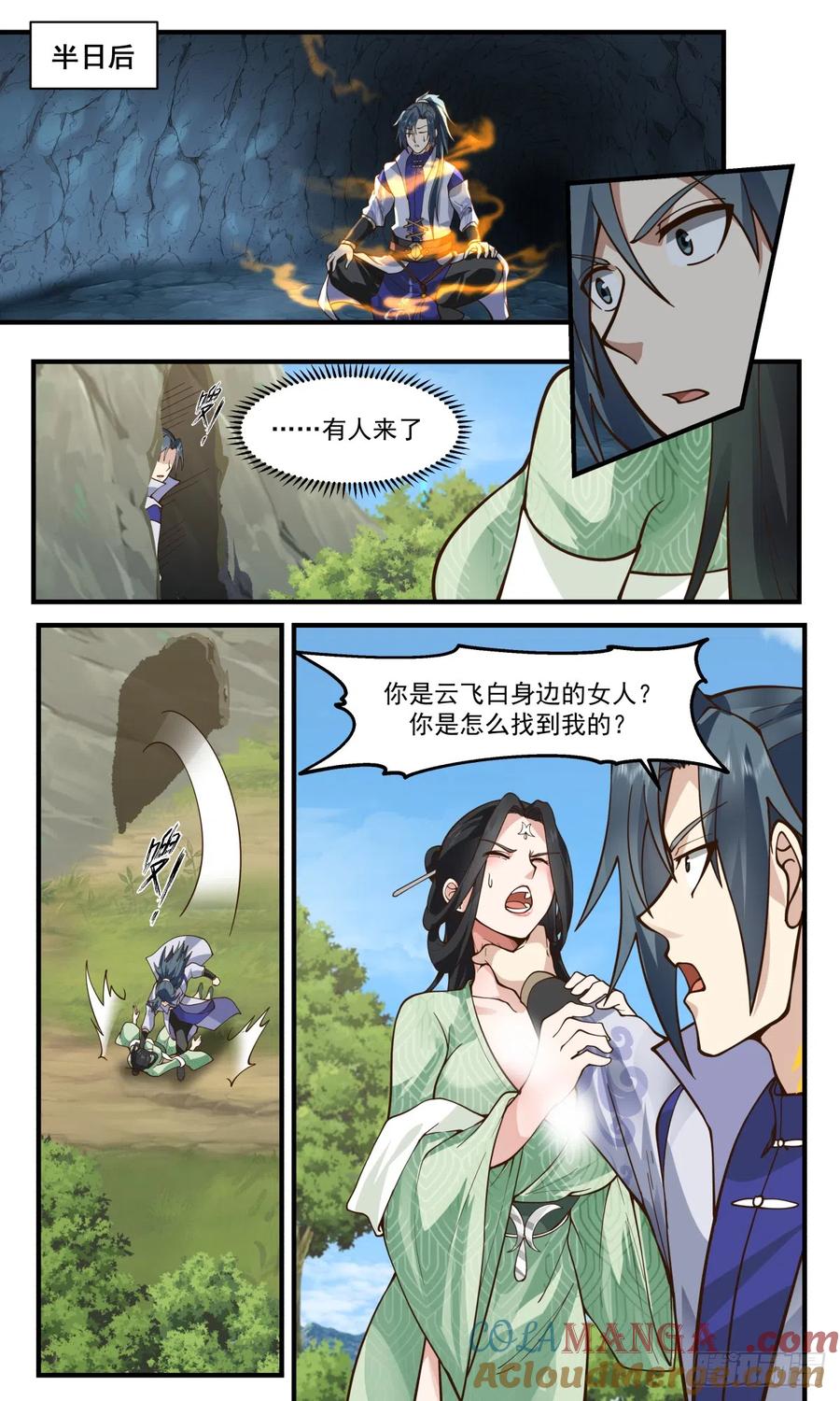 第11页