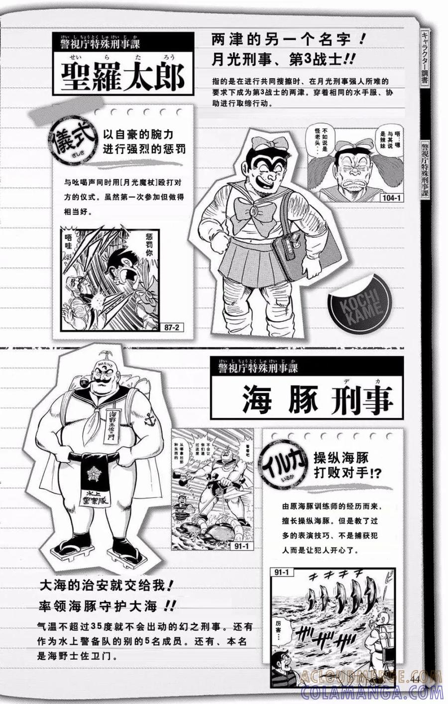 第43页