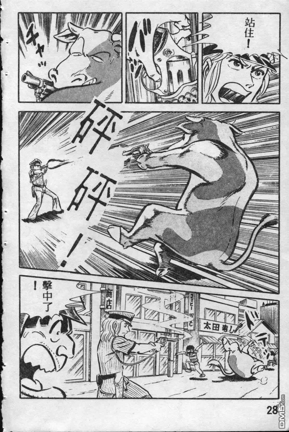 第27页