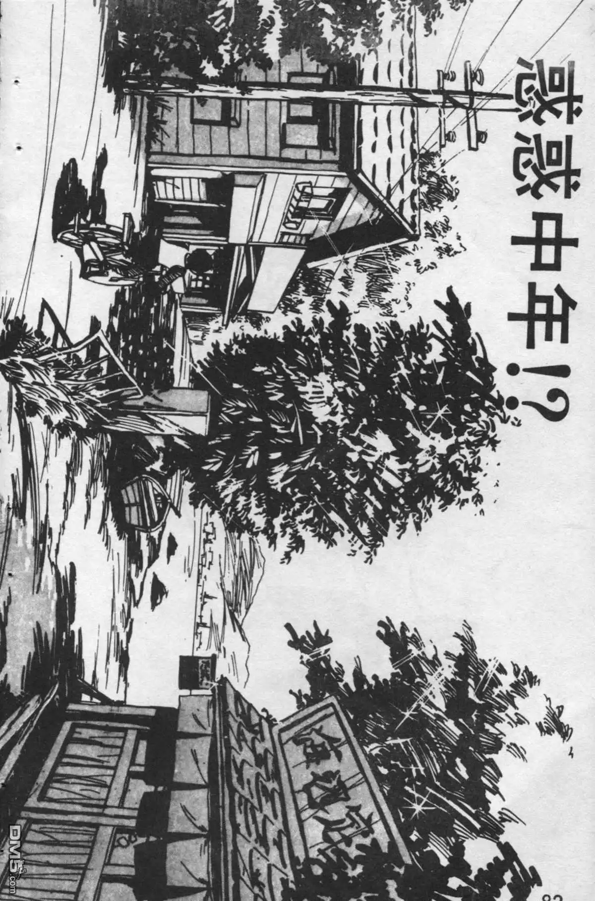 第81页