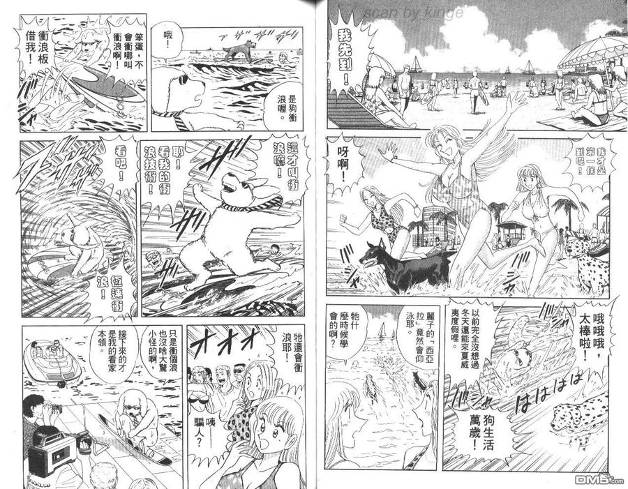 第47页