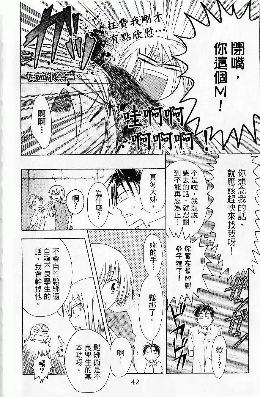 第45页