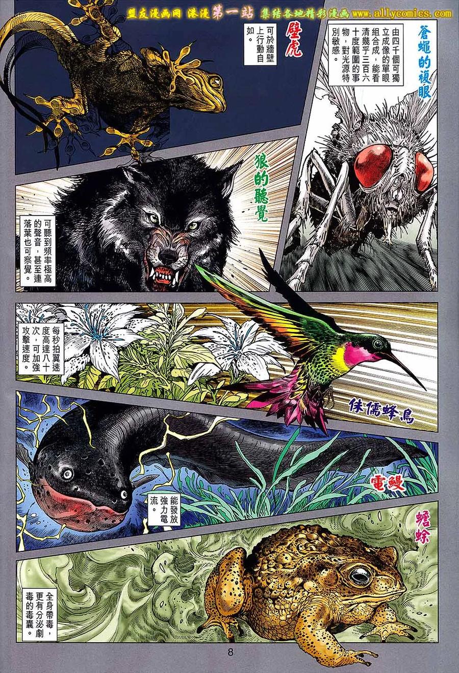 第8页